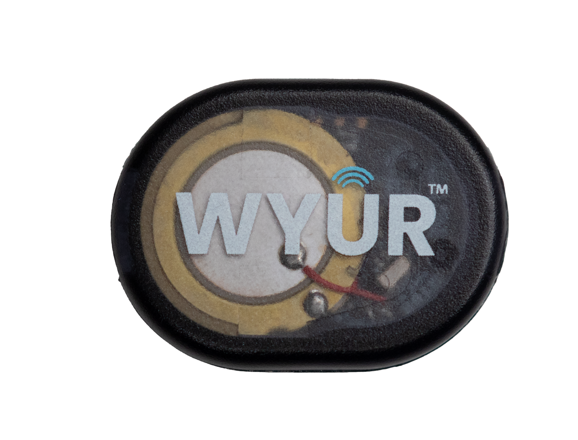 Image of an NPE WYÛR with no background